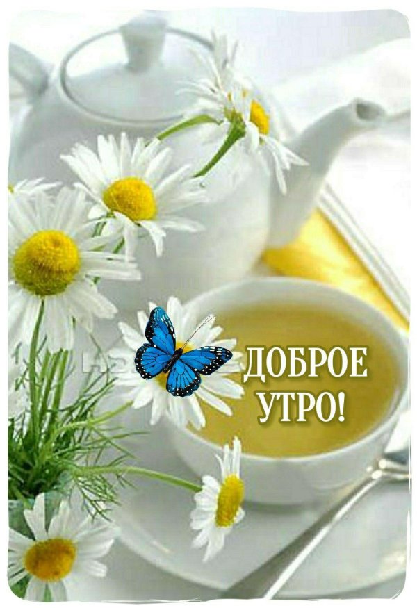добра утра