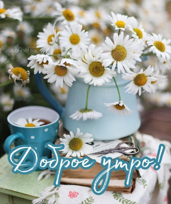доброго утра с ромашками
