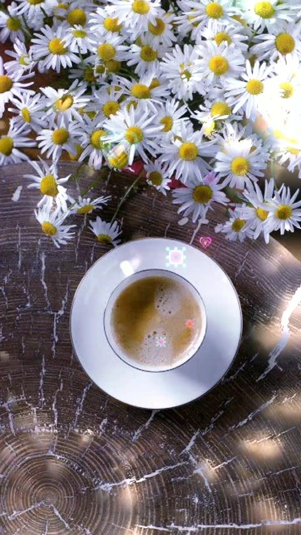 ромашки и кофе