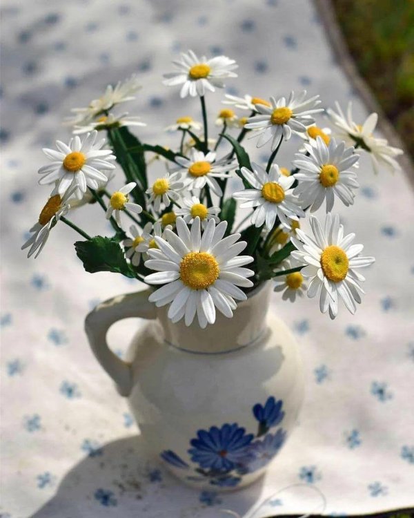 ромашка в вазе