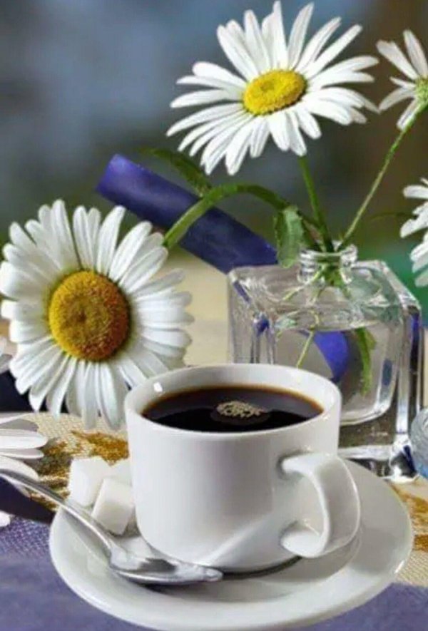 утро открытки доброе