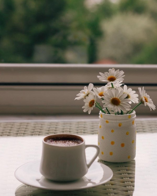 утро кофе солнце