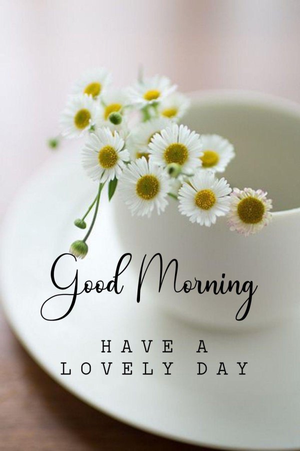 с добрым утром