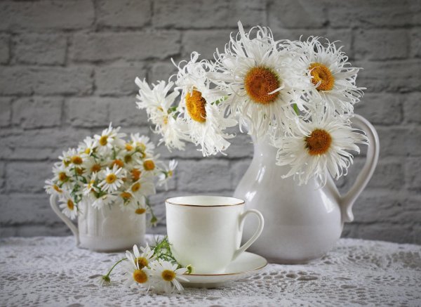 утренний букет ромашек