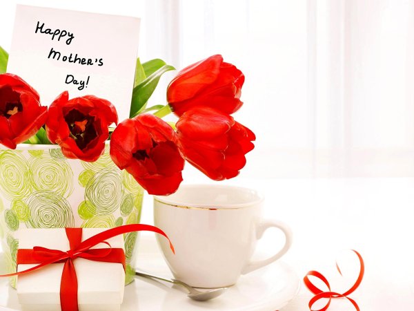 красные тюльпаны