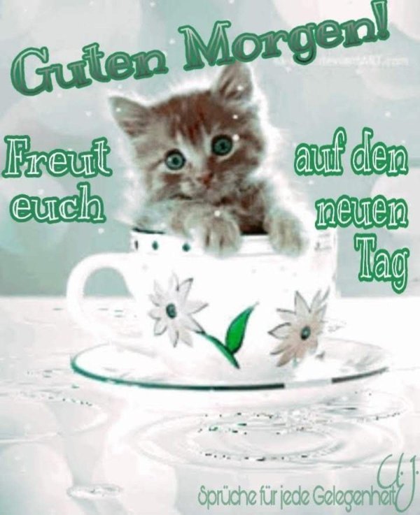 guten morgen bilder