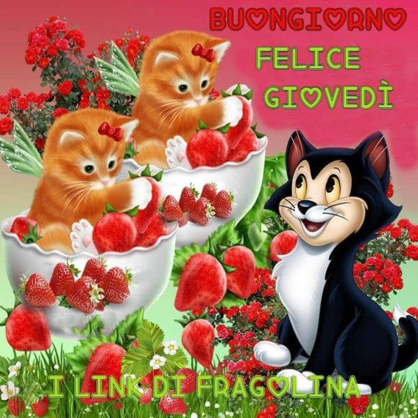 С кошками доброе утро