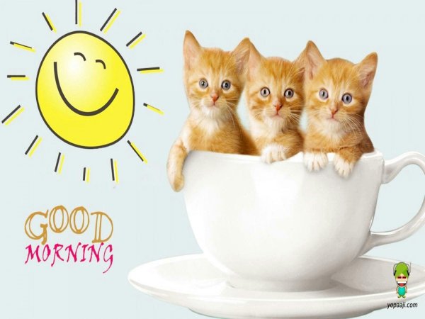 доброго ранку