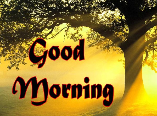 гуд монинг