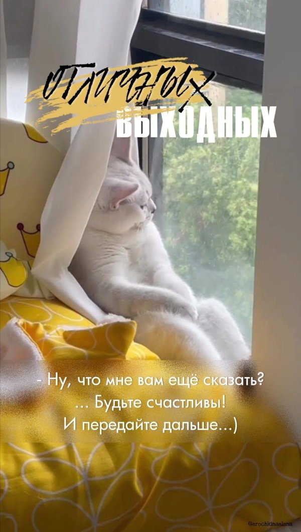 счастливый выходные