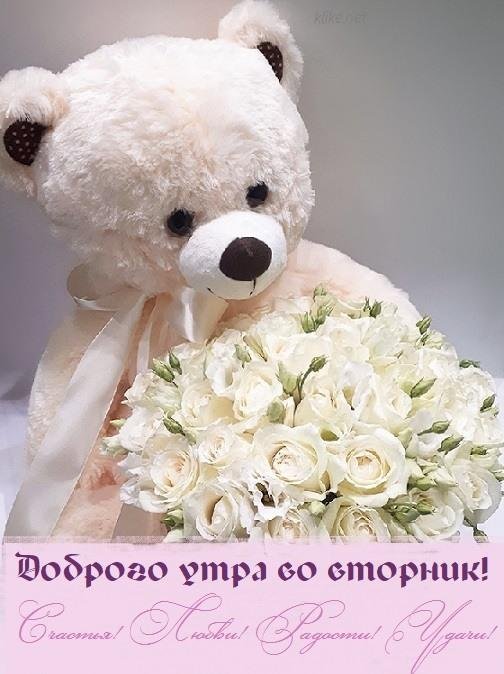 цветы и мишка