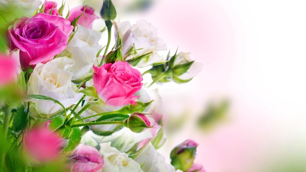 поздравление с днем