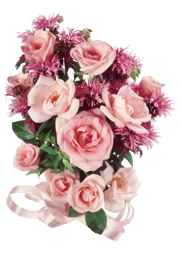 букет красивый