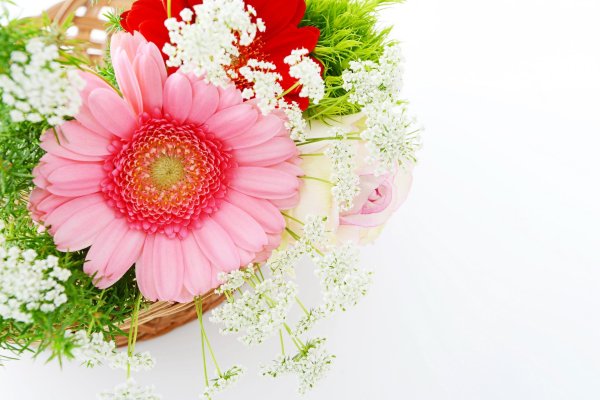 букет цветов герберы