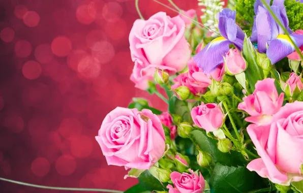 розовая роза