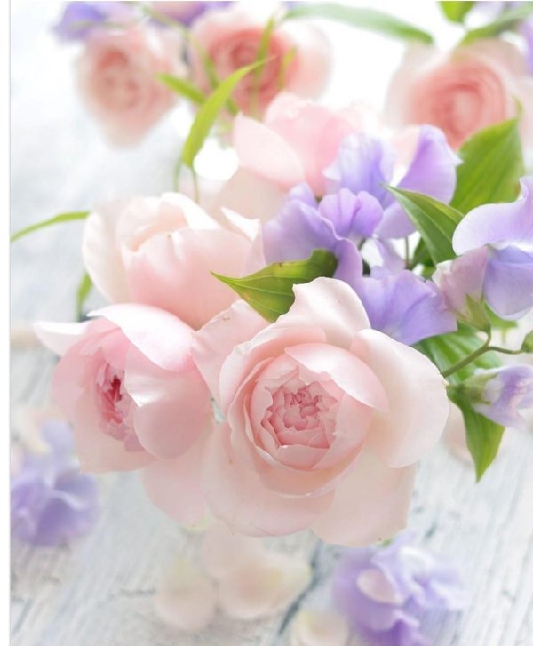 нежные цветочки