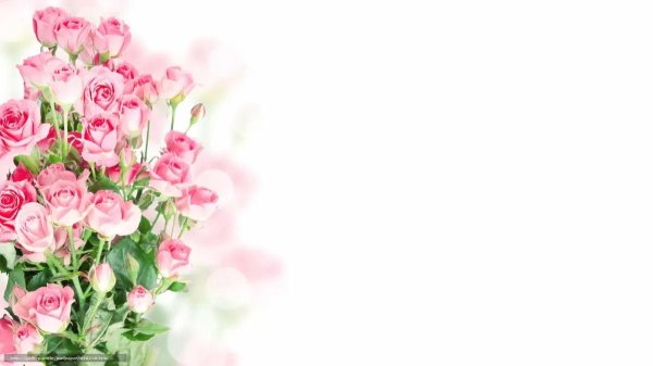 поздравление цветами