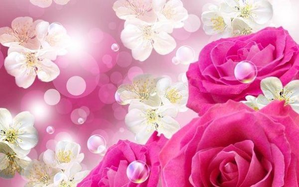 цветочные фоны