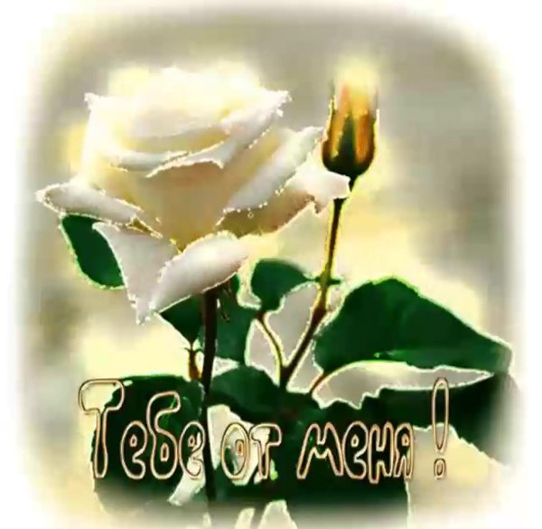 открытки и поздравления