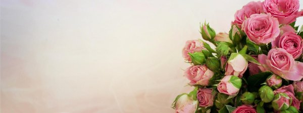 поздравительная открытка