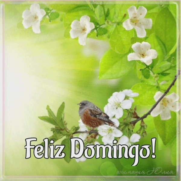 feliz domingo picmix