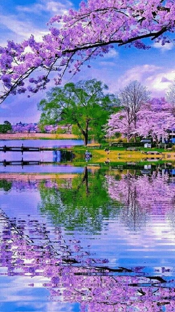 весенняя природа