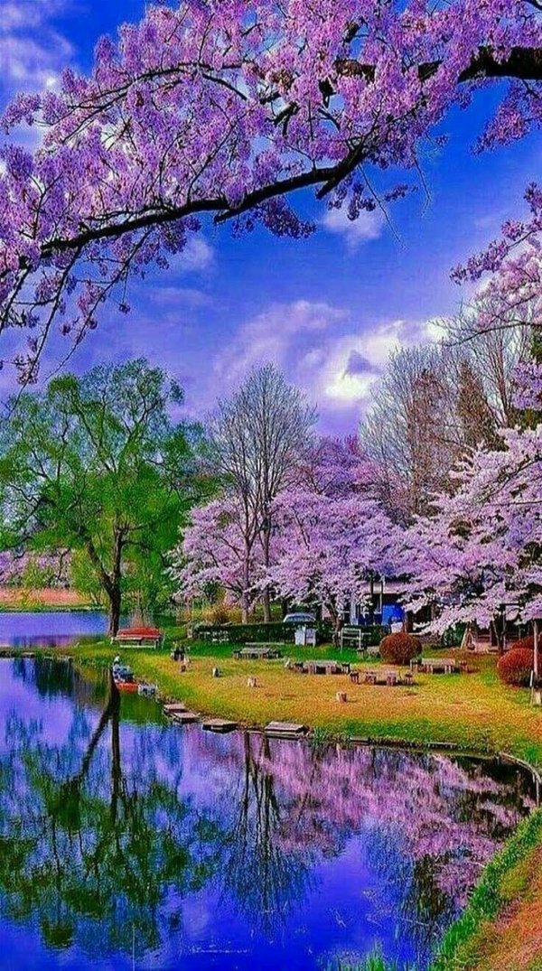 красивые пейзажи весны