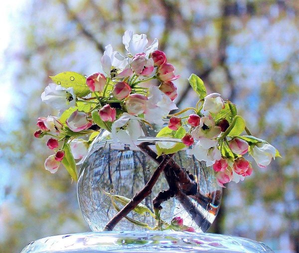 весеннего настроения