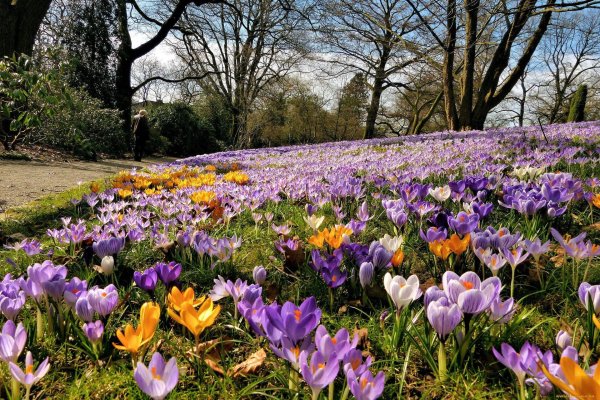 последний день апреля