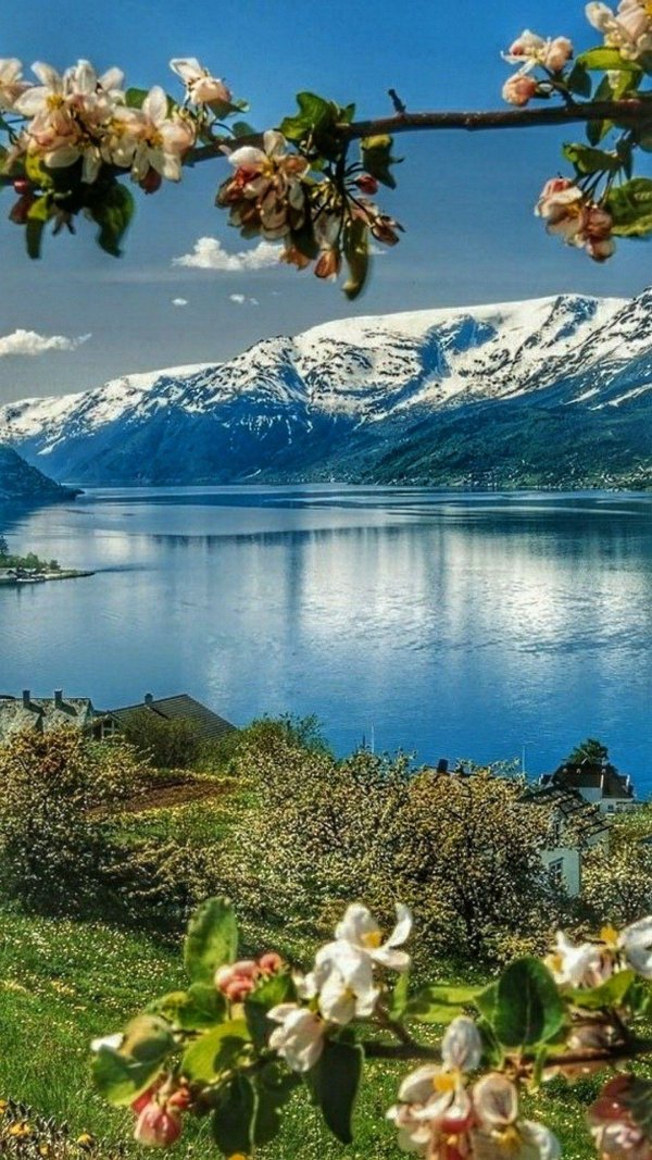 фьорд хардангер норвегия