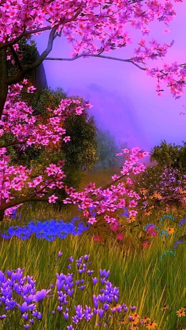 летние пейзажи