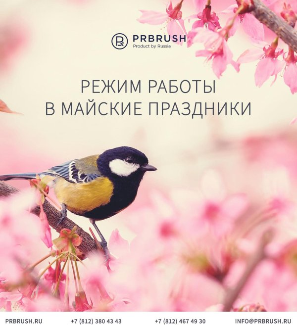 птицы весенние