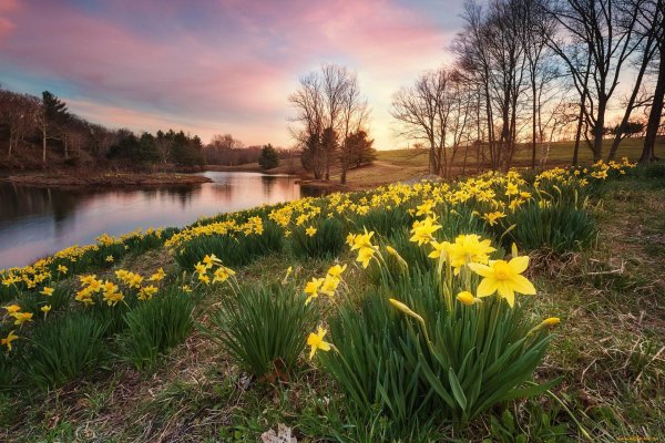 пейзаж весна
