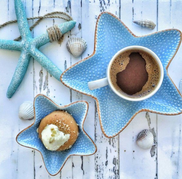 морская звезда