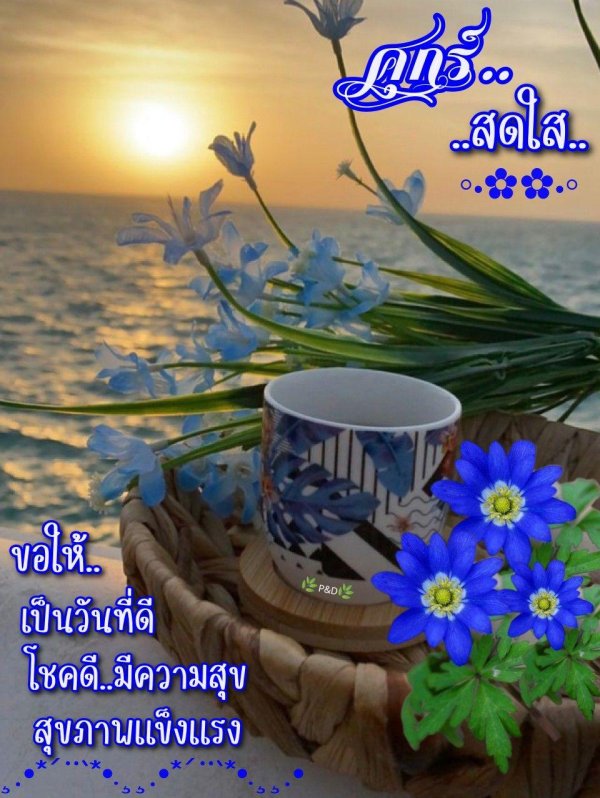 добрий вечір