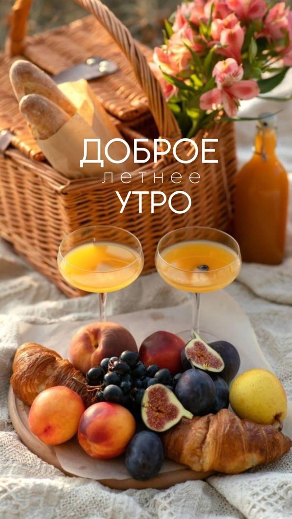 летнего утра