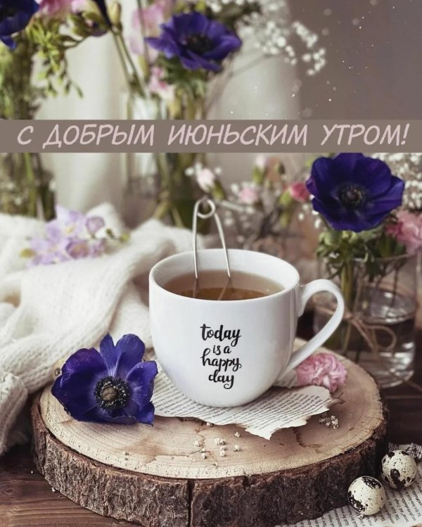 доброго июньского утра