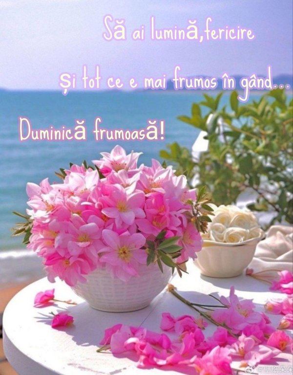 красивая цветок