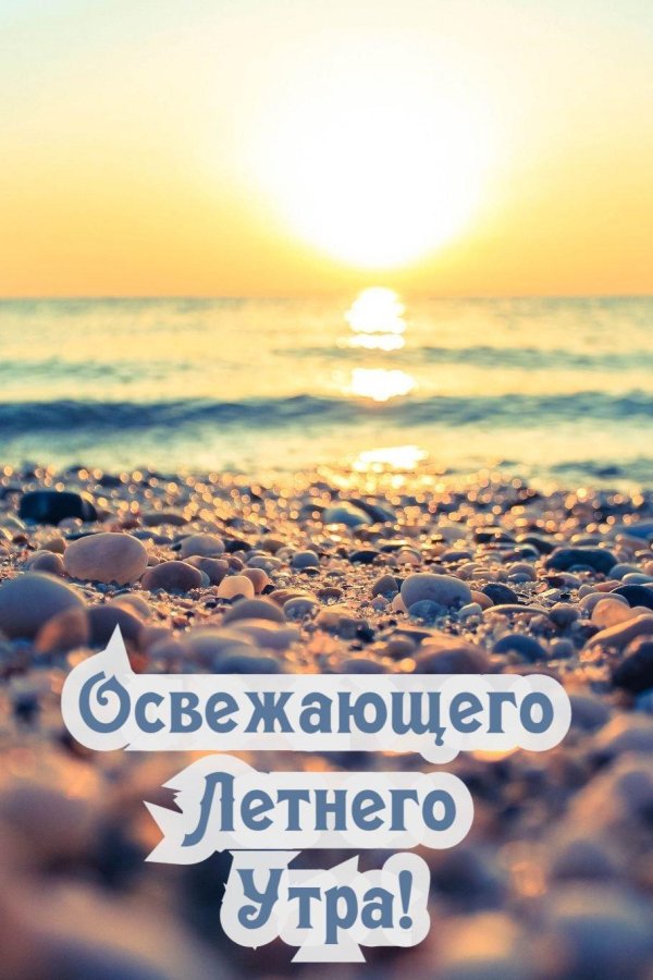 летнего утра