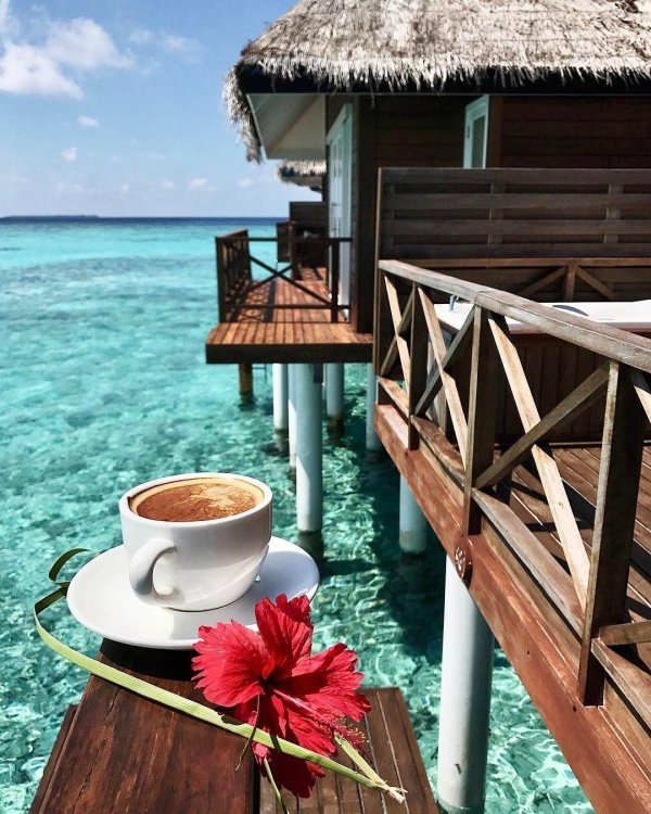 Доброе утро летние морские