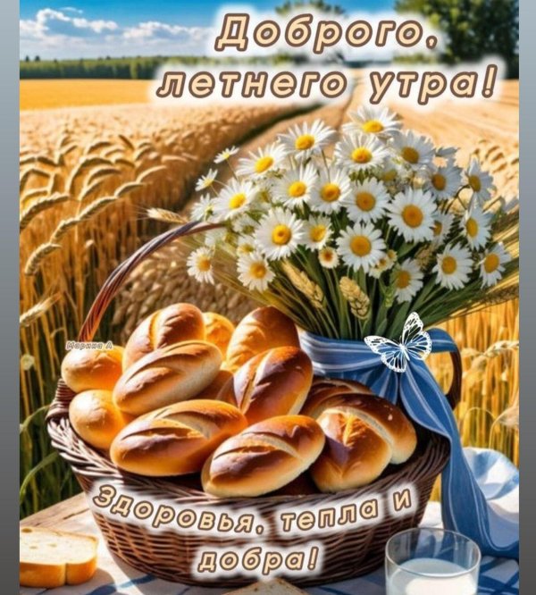 летнего утра