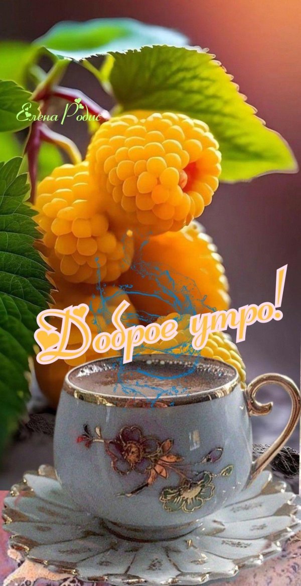 открытки с добрым днём летние