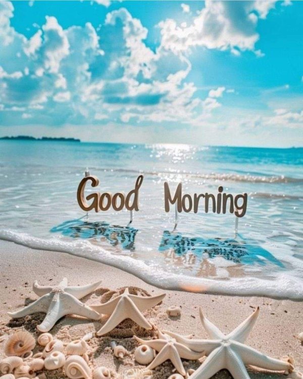 good morning good morning