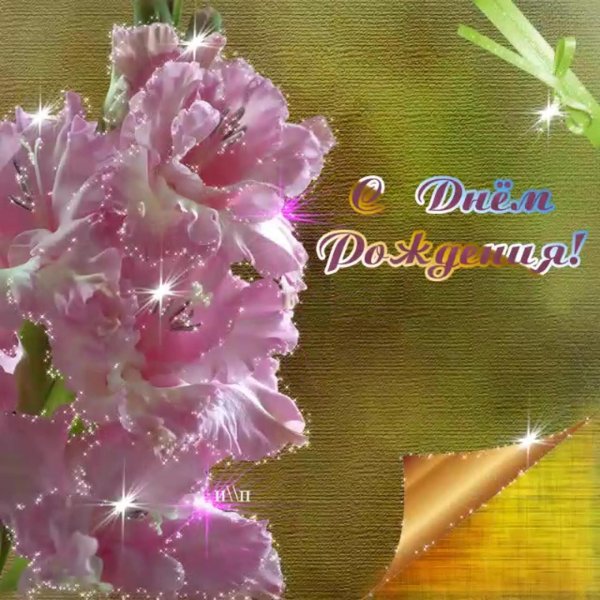 с днем рождения гладиолусы