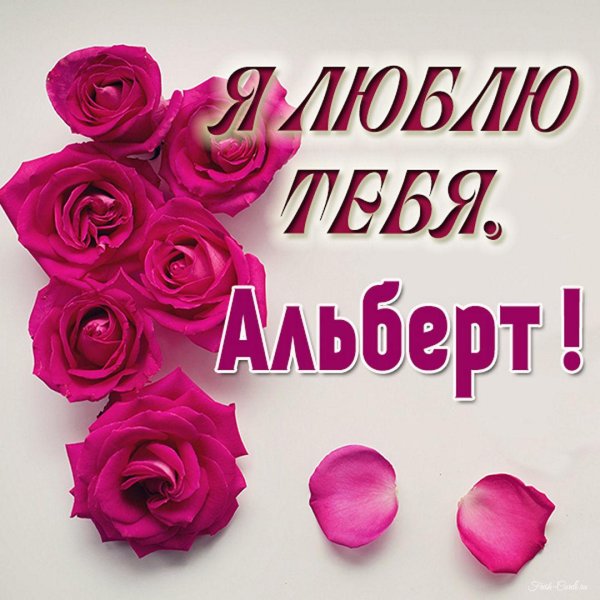 я люблю альберта