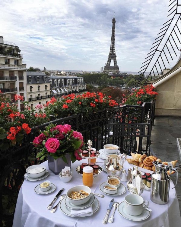 париж отель plaza athenee балкон