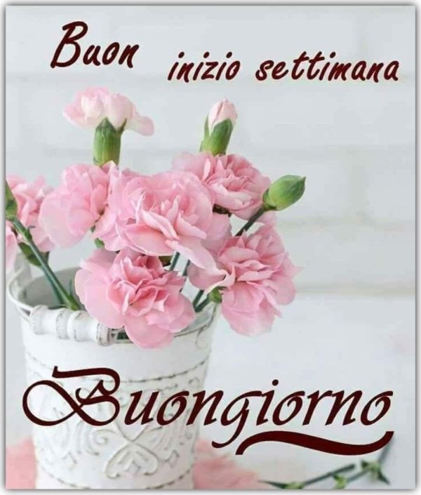 buonanotte buongiorno