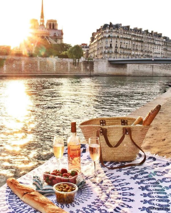 пикник марсово поле париж