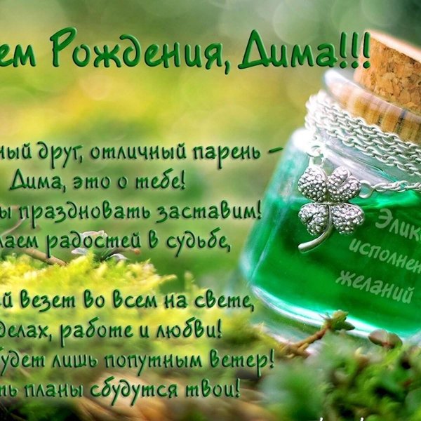 с днём рождения дима прикольные поздравления
