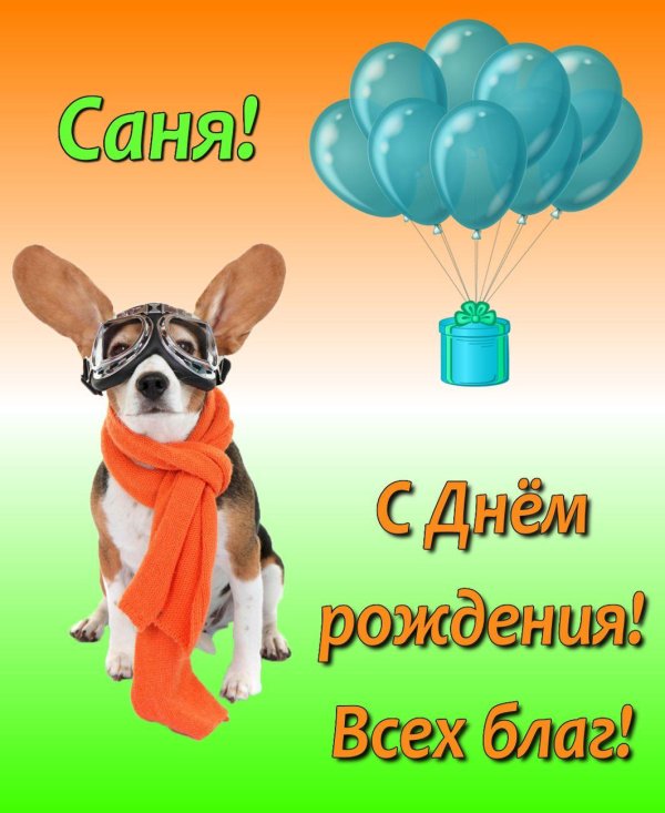 день рождения собаки поздравление